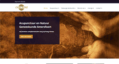 Desktop Screenshot of chi-ori.nl